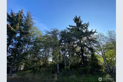 364 Duck Lake Drive SE, Ocean Shores, WA 98569 - Photo 5