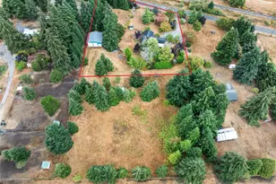 16631 Case Rd SW, Rochester, WA 98579 - Photo 33