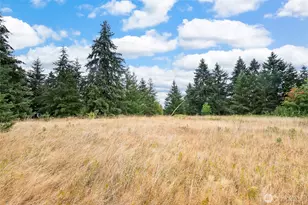 0 Case Road SW, Rochester, WA 98579 - Photo 1