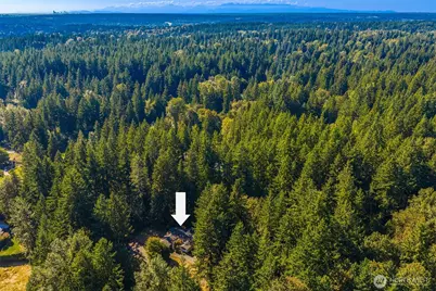 7001 242nd Avenue NE, Redmond, WA 98053 - Photo 9