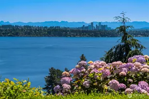 530 36th Ave E, Seattle, WA 98112 - Photo 9