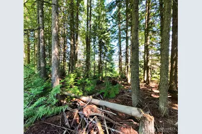 631 Deeter Road, Newport, WA 99156 - Photo 27