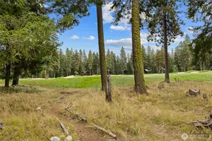 1380 Larkspur Loop, Cle Elum, WA 98922 - Photo 17