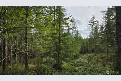 27009 170th Street E, Buckley, WA 98321 - Photo 21