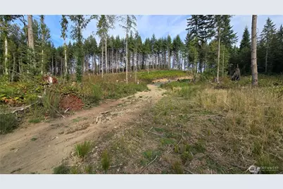 27009 170th Street E, Buckley, WA 98321 - Photo 7