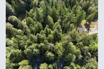 28505 SE 67th Street, Issaquah, WA 98027 - Photo 17