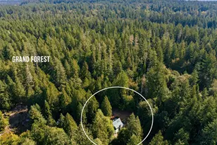 6391 NE Tolo Rd, Bainbridge Island, WA 98110 - Photo 5