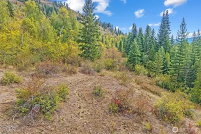 220 Catamount Ridge Lane, Ione, WA 99139 - Photo 13