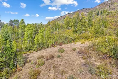 220 Catamount Ridge Lane, Ione, WA 99139 - Photo 11