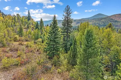 220 Catamount Ridge Lane, Ione, WA 99139 - Photo 17