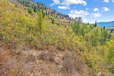 220 Catamount Ridge Lane, Ione, WA 99139 - Photo 25