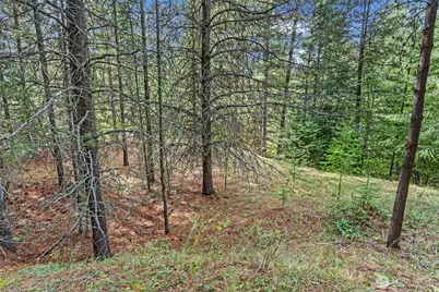 220 Catamount Ridge Lane, Ione, WA 99139 - Photo 23