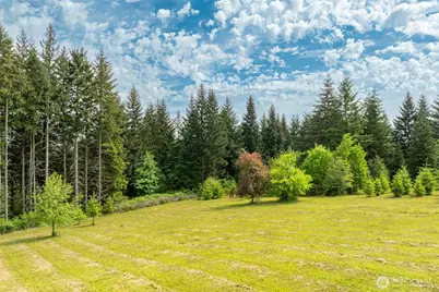 3900 NE 425th Street, Woodland, WA 98674 - Photo 3