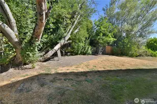 328 NE 52nd St, Seattle, WA 98105 - Photo 31