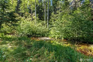 544 Old Ml Ln, Leavenworth, WA 98826 - Photo 5