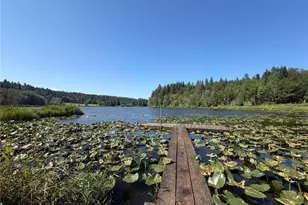 112 Hectors Way, Quilcene, WA 98376 - Photo 25