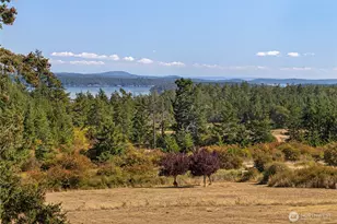 144 Jensen Bay Rd, Friday Harbor, WA 98250 - Photo 39