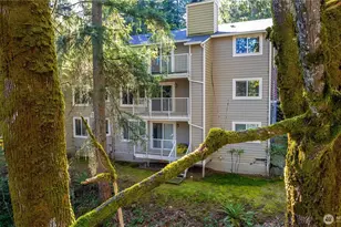 15246 SE 43rd Ct, Bellevue, WA 98006 - Photo 21