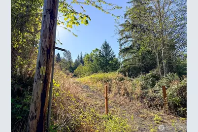 72 X Leland Valley Road W, Quilcene, WA 98376 - Photo 3