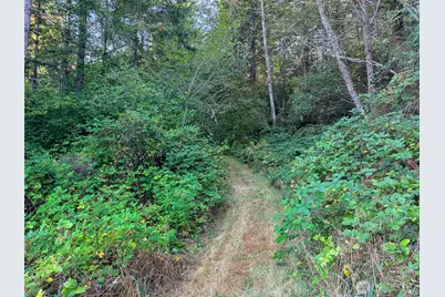 72 X Leland Valley Road W, Quilcene, WA 98376 - Photo 7