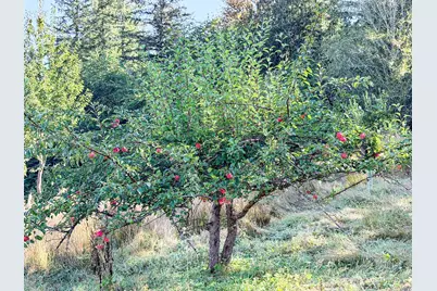 72 X Leland Valley Road W, Quilcene, WA 98376 - Photo 13