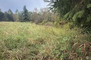 117 Chinook Ln, Onalaska, WA 98570 - Photo 29