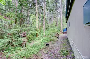 20 Goldrush Rd, Deming, WA 98244 - Photo 27