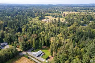 3226 Velvet Ln, Custer, WA 98240 - Photo 39