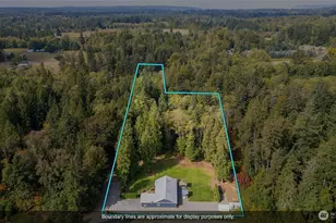 3226 Velvet Ln, Custer, WA 98240 - Photo 3