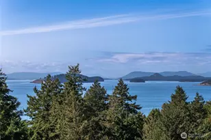 154 Walker Dr, Orcas Island, WA 98245 - Photo 3