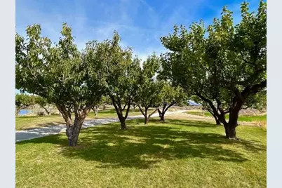 1893 Pine Creek Road, Tonasket, WA 98855 - Photo 27