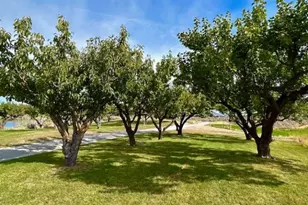 1893 Pine Creek Rd, Tonasket, WA 98855 - Photo 27