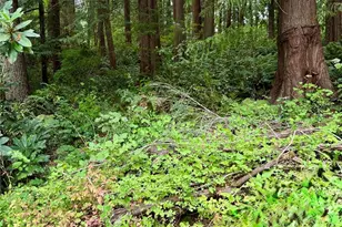 27120 NE 152nd St, Duvall, WA 98019 - Photo 21
