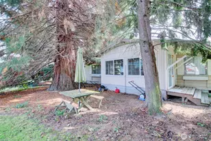 19806 Apostolic Way, Burlington, WA 98233 - Photo 39