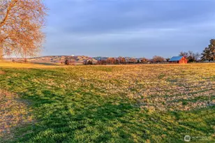 1111 Rooster Rd, Walla Walla, WA 99362 - Photo 29