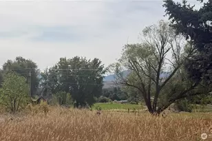 762 Twisp-Winthrop Eastside Rd, Winthrop, WA 98862 - Photo 13