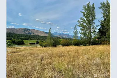 762 Twisp-Winthrop Eastside Road, Winthrop, WA 98862 - Photo 33