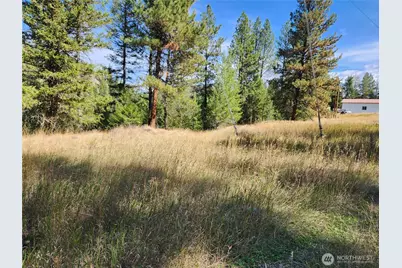 0 Tbd Pine Grove Street, Republic, WA 99166 - Photo 3