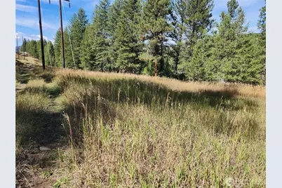 0 Tbd Pine Grove Street, Republic, WA 99166 - Photo 7