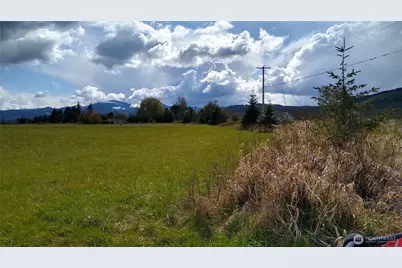 581 Boistfort Rd, Curtis, WA 98538 - Photo 19