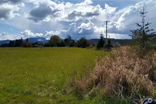581 Boistfort Rd, Curtis, WA 98538 - Photo 19