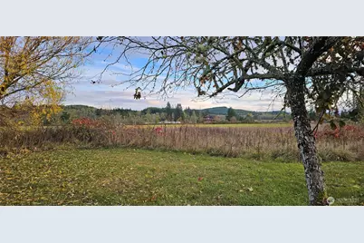 581 Boistfort Rd, Curtis, WA 98538 - Photo 3