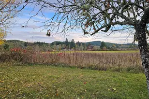 581 Boistfort Rd, Curtis, WA 98538 - Photo 3