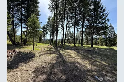 5 Starvation Ridge Road, Wauconda, WA 98859 - Photo 15