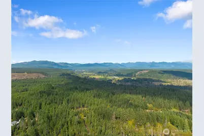 90044 Xx E Mooreview Lane, Shelton, WA 98584 - Photo 9