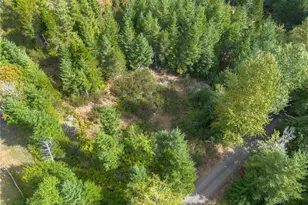 90044 Xx E Mooreview Ln, Shelton, WA 98584 - Photo 1