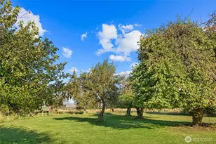5351 Naneum Rd, Ellensburg, WA 98926 - Photo 33