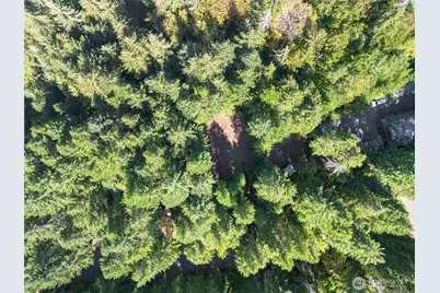 100 N Deer Lane W, Hoodsport, WA 98548 - Photo 5
