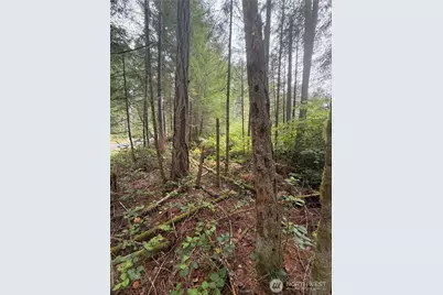 11928 Country Club Drive, Anderson Island, WA 98303 - Photo 3