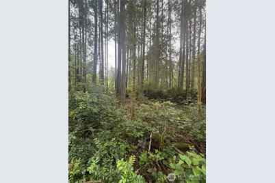 11928 Country Club Drive, Anderson Island, WA 98303 - Photo 9